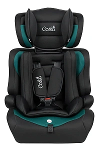 Чёрно-зеленый